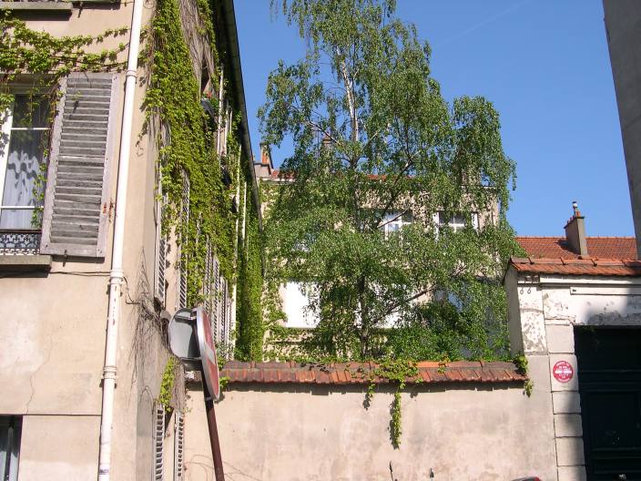  immeuble sur jardin (rue Scipion)